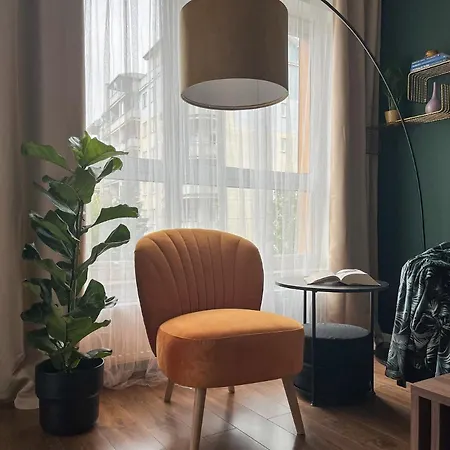 Apartment Elegant And Comfortable