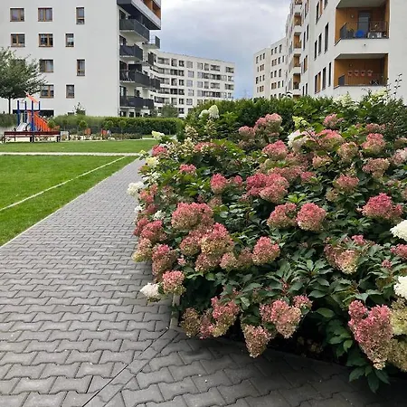 Apartment Elegant And Comfortable Warsaw