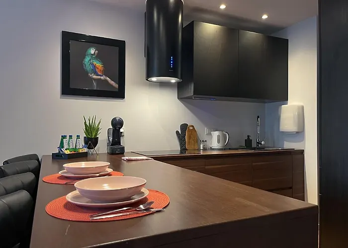 Elegant And Comfortable